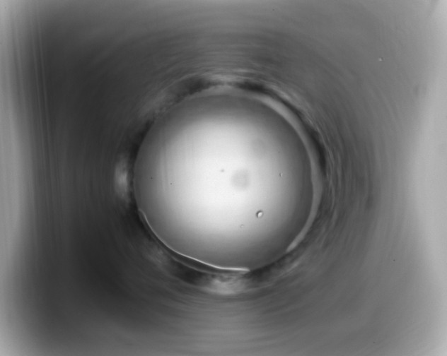 X0000099980720200805231425