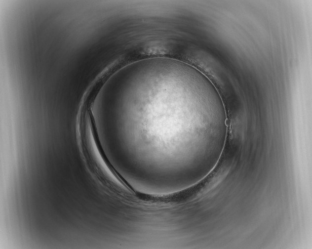 X0000099980722200805231424