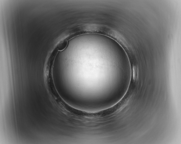 X0000099980723200805231424