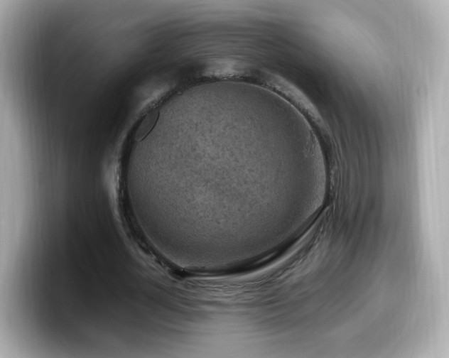 X0000099980724200805231424