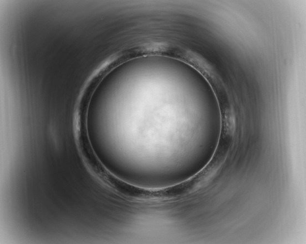 X0000099980726200805231424