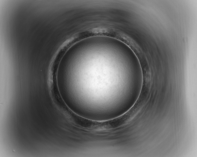 X0000099980727200805231424