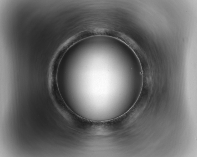 X0000099980728200805231424