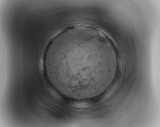 X0000099980729200805231424