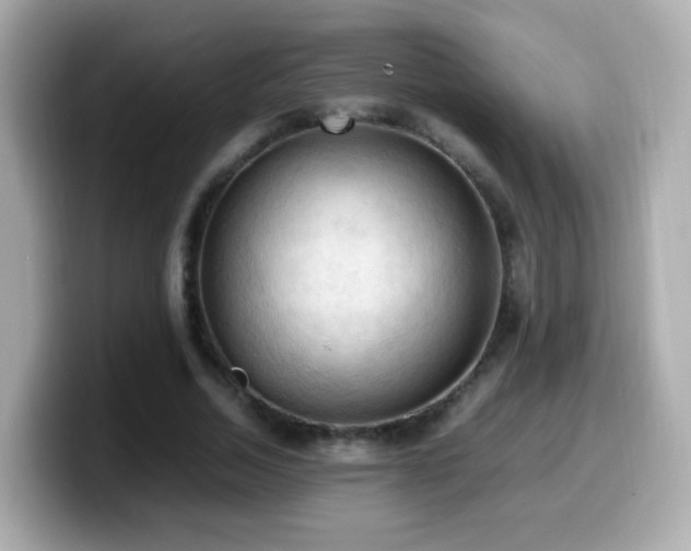 X0000099980730200805231424