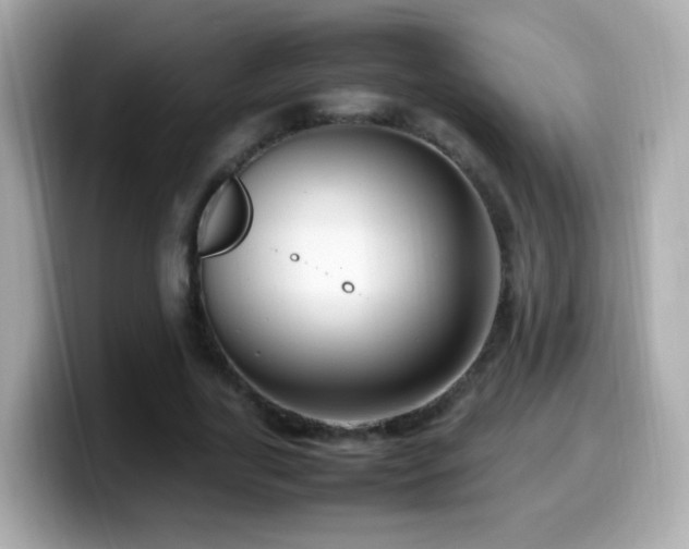 X0000099980731200805231424