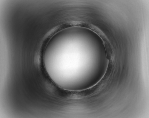X0000099980732200805231424