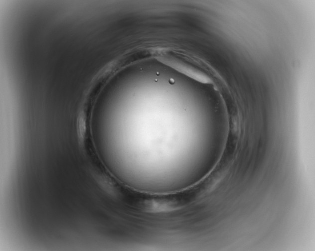 X0000099980733200805231424