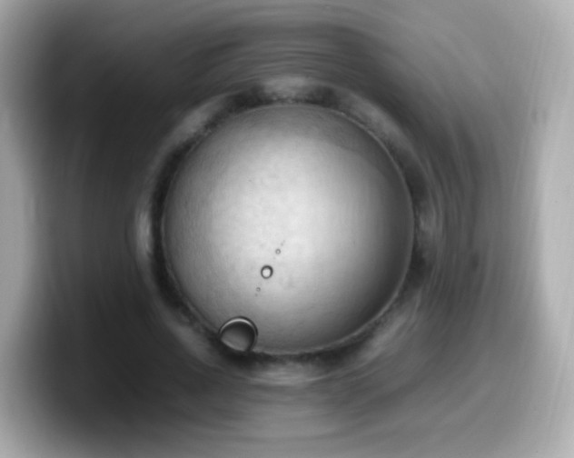 X0000099980734200805231424