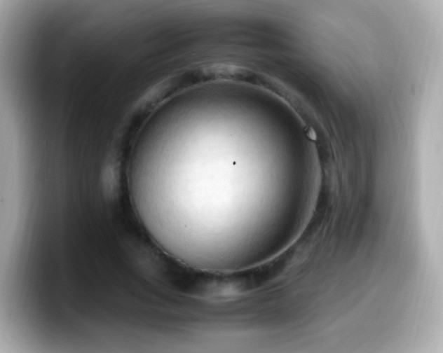 X0000099980735200805231424