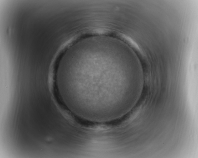 X0000099980736200805231424