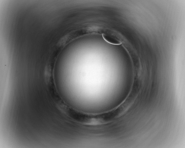 X0000099980737200805231424