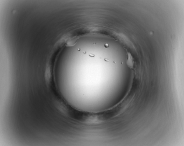 X0000099980740200805231424