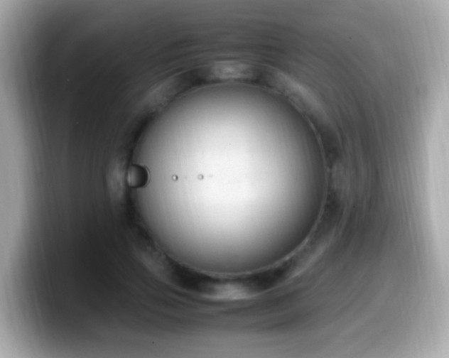 X0000099980741200805231424