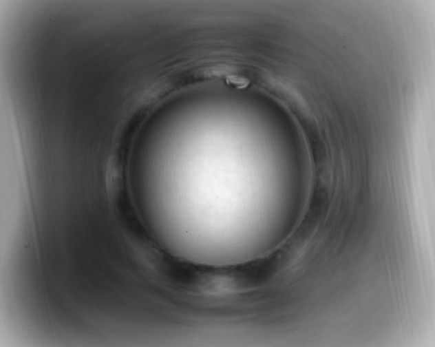 X0000099980743200805231424