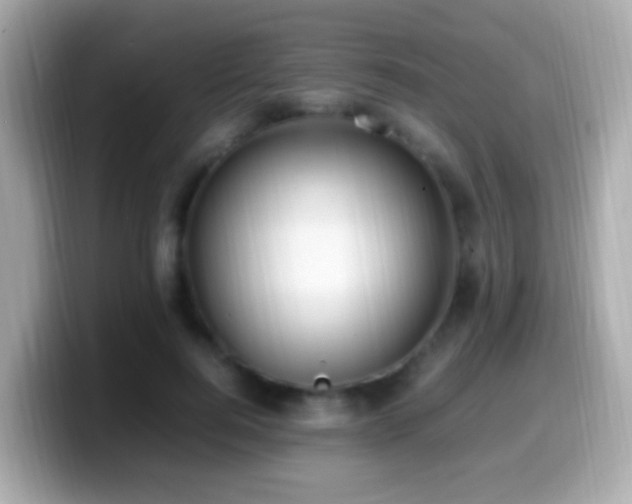 X0000099980744200805231424