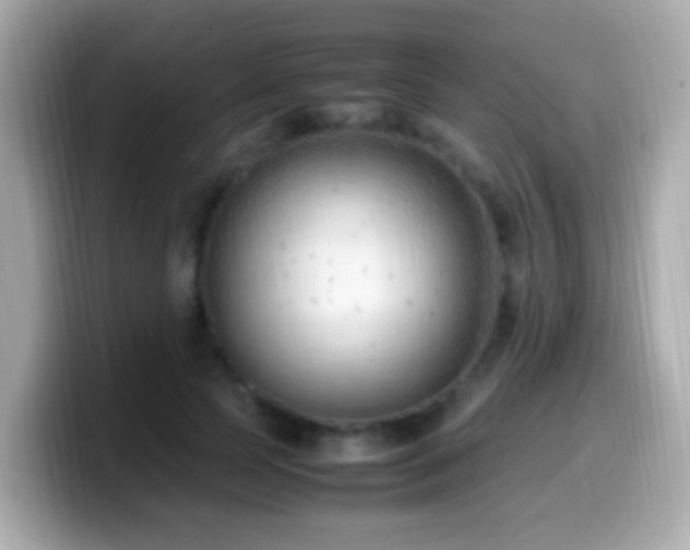X0000099980745200805231424