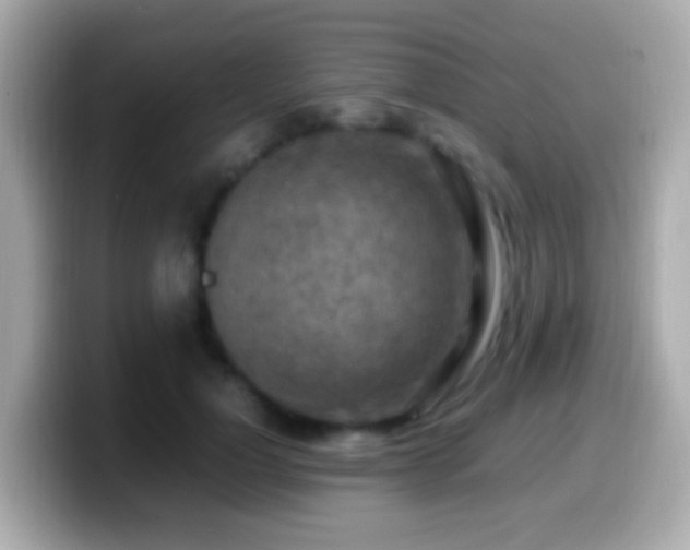 X0000099980748200805231424