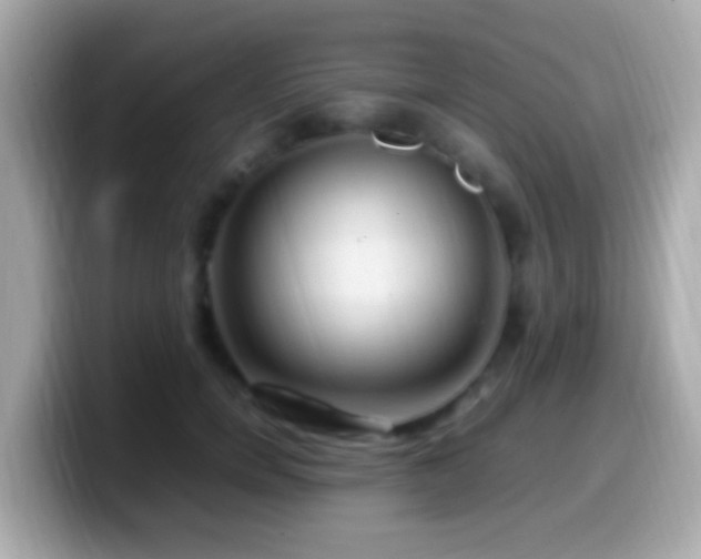 X0000099980750200805231424