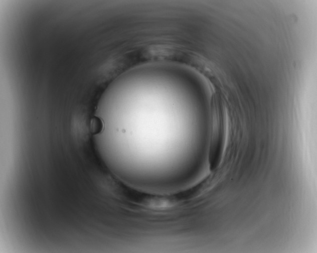 X0000099980751200805231424