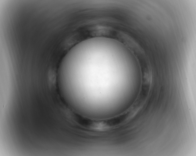 X0000099980753200805231424