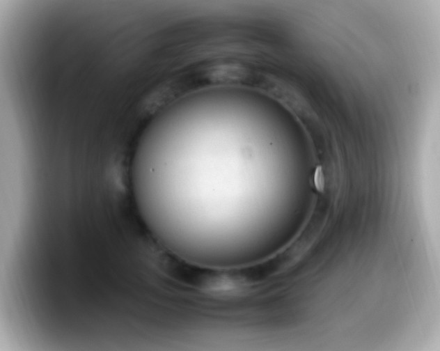 X0000099980755200805231424