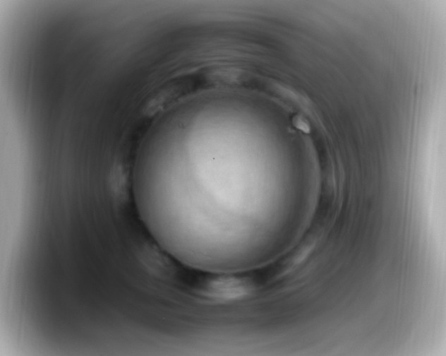 X0000099980759200805231424