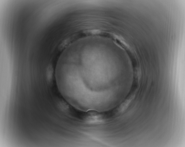 X0000099980760200805231424