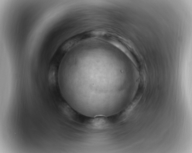 X0000099980762200805231424