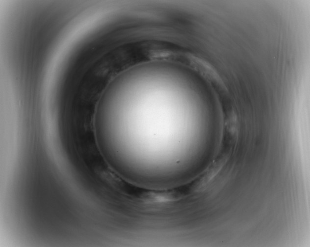 X0000099980763200805231424