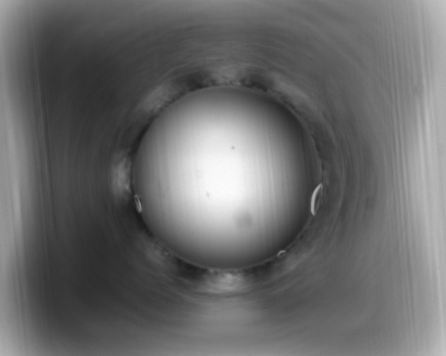 X0000099980768200805231424