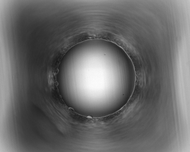 X0000099980770200805231424