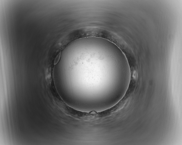 X0000099980771200805231424