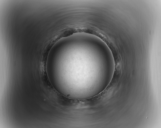 X0000099980772200805231424