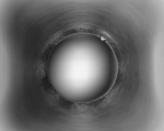 X0000099980774200805231424