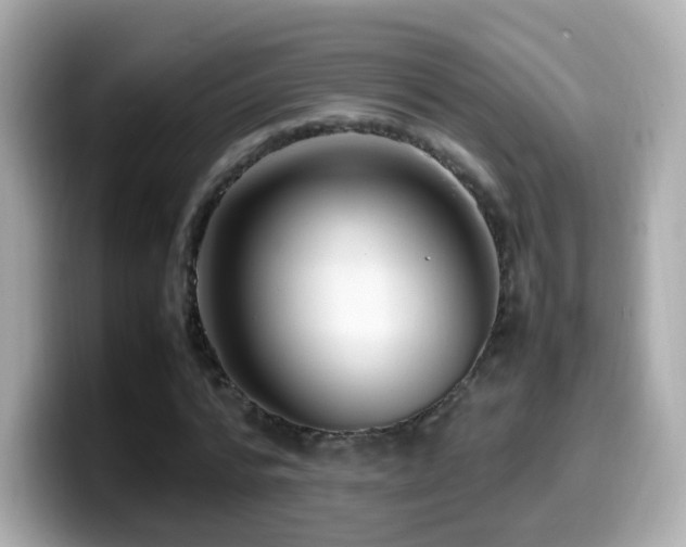 X0000099980776200805231424