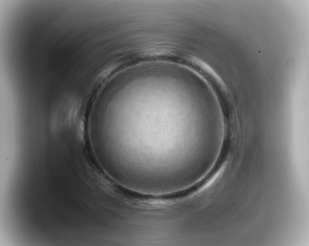 X0000099980777200805231424