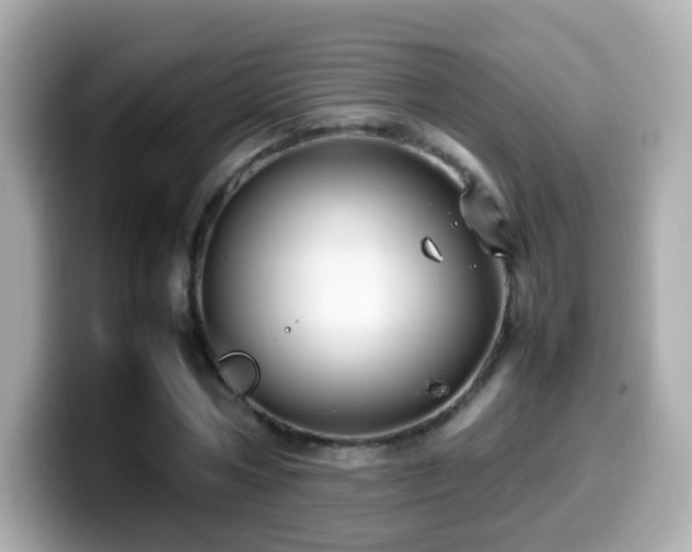 X0000099980778200805231424