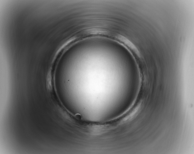 X0000099980782200805231424