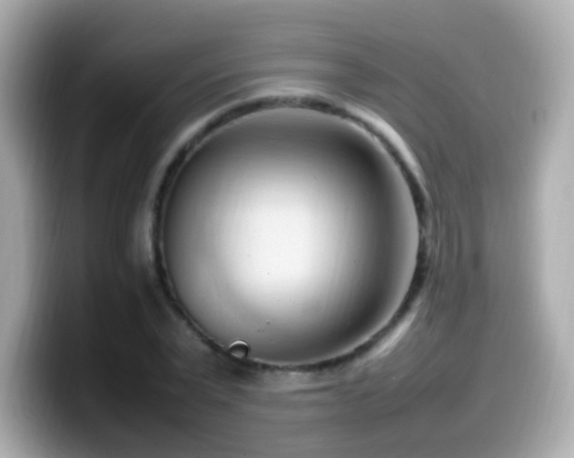 X0000099980783200805231424