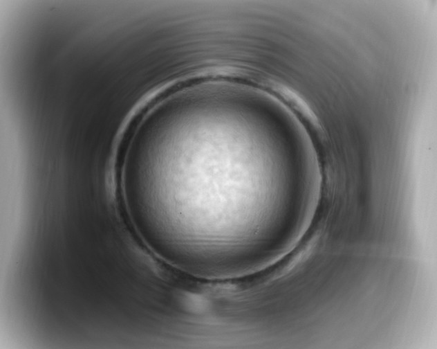 X0000099980784200805231424