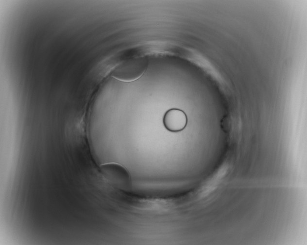 X0000099980785200805231424