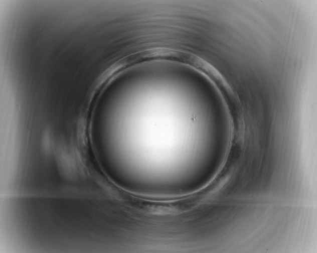 X0000099980786200805231424