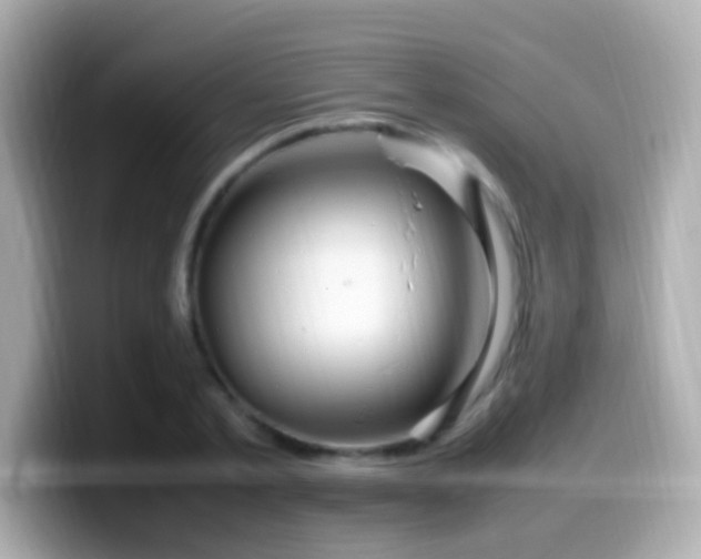 X0000099980789200805231424
