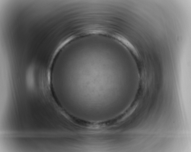 X0000099980790200805231424