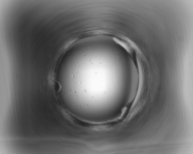 X0000099980793200805231424