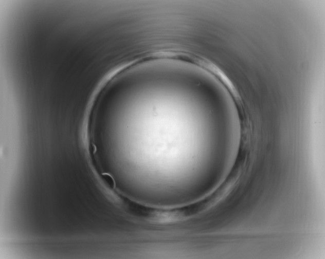 X0000099980795200805231423