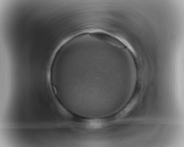 X0000099980797200805231423