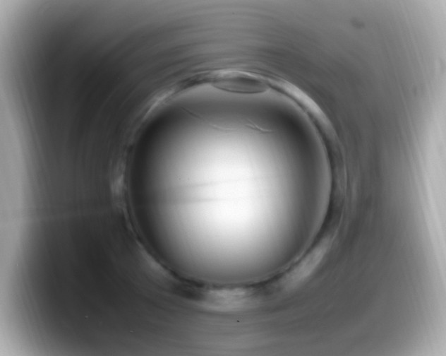 X0000099980801200805231423