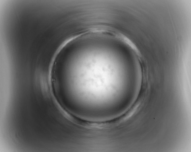 X0000099980803200805231423